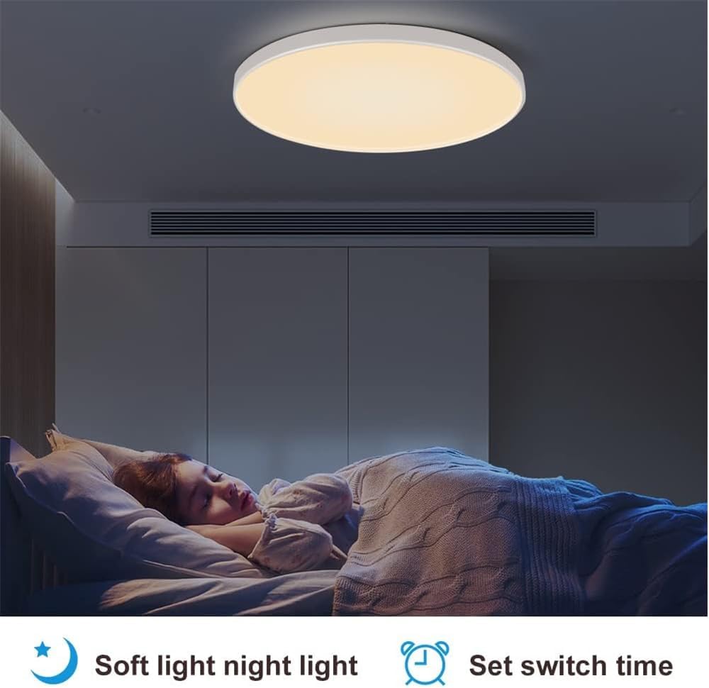 Smart Ceiling Light